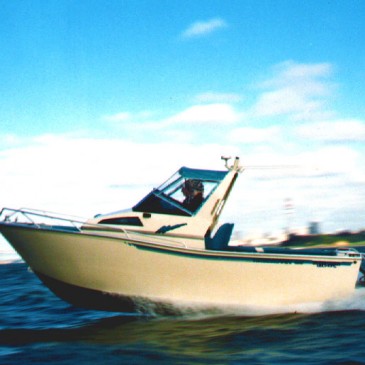 6.1 Walkabout / Soft top